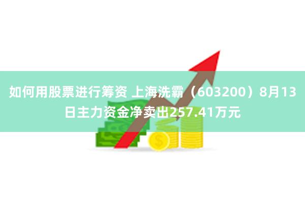 如何用股票进行筹资 上海洗霸（603200）8月13日主力资金净卖出257.41万元