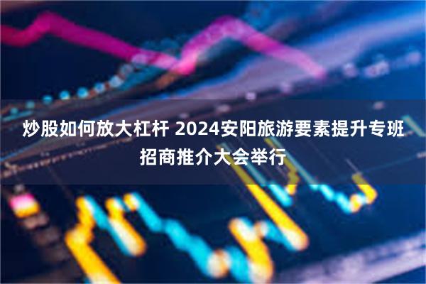 炒股如何放大杠杆 2024安阳旅游要素提升专班招商推介大会举行