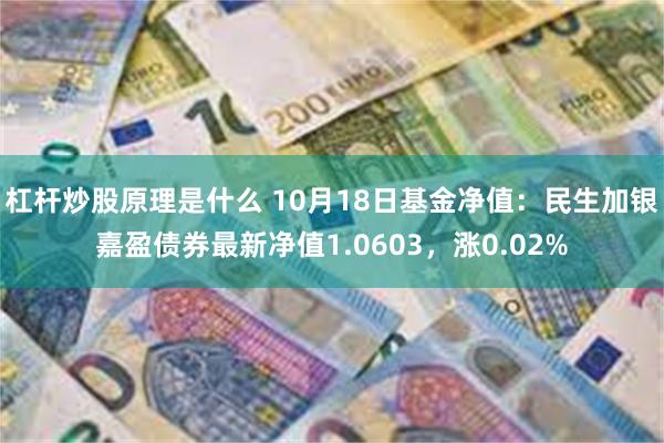 杠杆炒股原理是什么 10月18日基金净值：民生加银嘉盈债券最新净值1.0603，涨0.02%