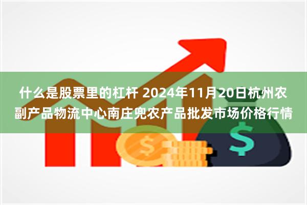 什么是股票里的杠杆 2024年11月20日杭州农副产品物流中心南庄兜农产品批发市场价格行情