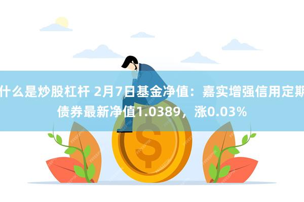 什么是炒股杠杆 2月7日基金净值：嘉实增强信用定期债券最新净值1.0389，涨0.03%