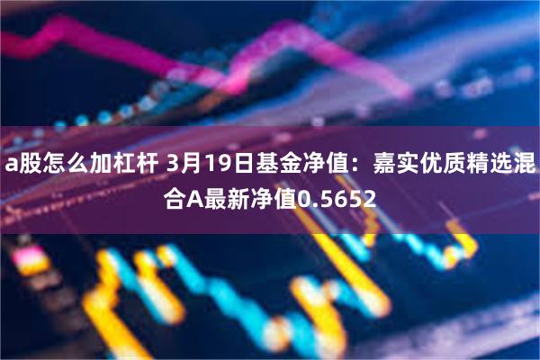 a股怎么加杠杆 3月19日基金净值：嘉实优质精选混合A最新净值0.5652